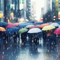 カラフルな傘を差して雨の中を歩く人混みの都市風景の写真