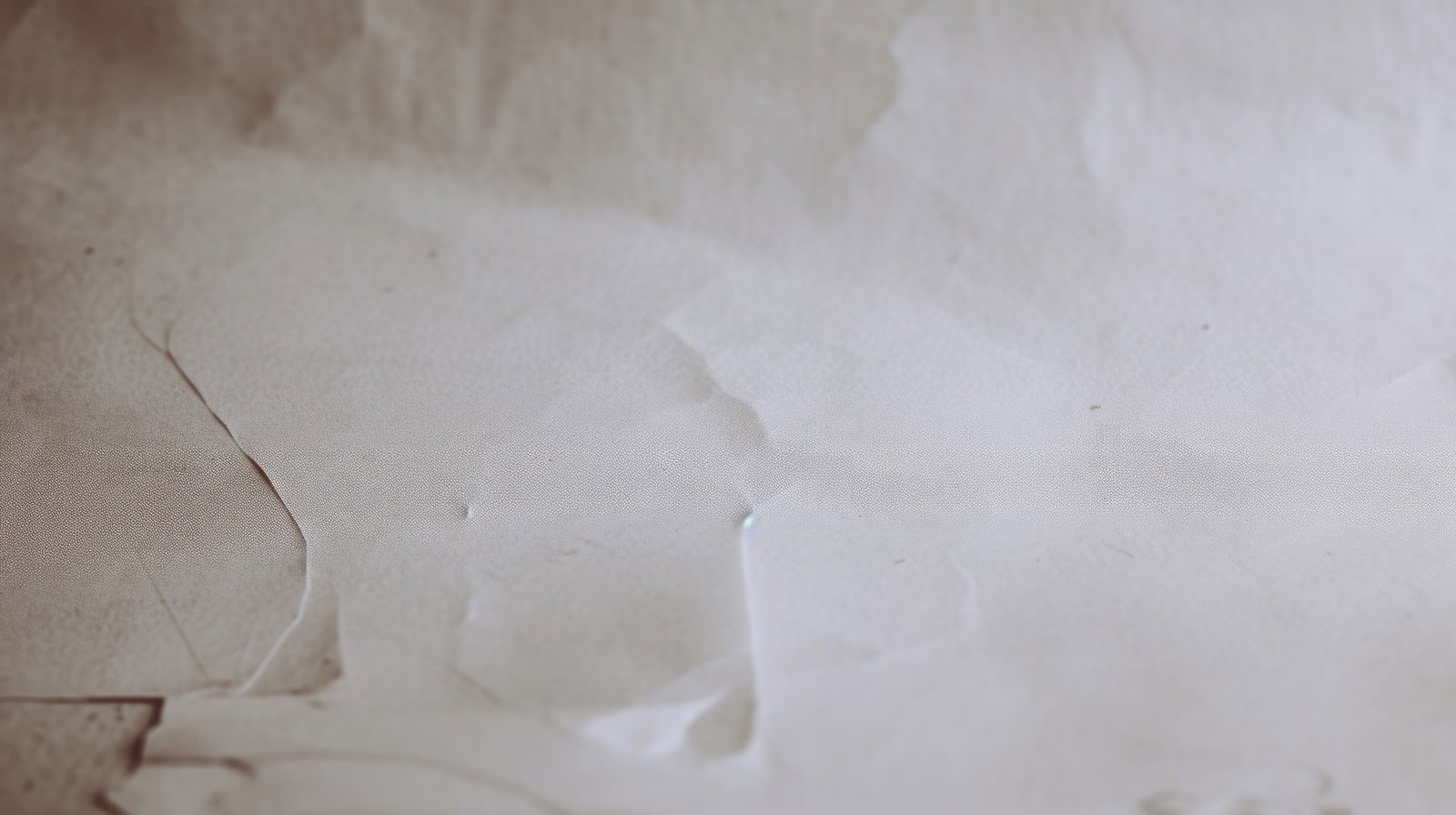 Front-facing image of peeling white wallpaper with visible base layer showing tattered and damaged surface