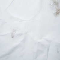 カビが生えたくしゃくしゃの古紙のテクスチャーの写真