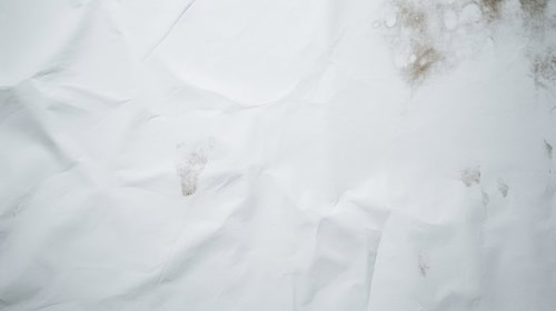 カビが生えたくしゃくしゃの古紙のテクスチャー