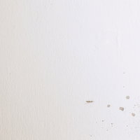 なにかを垂らしてしまった和紙の写真