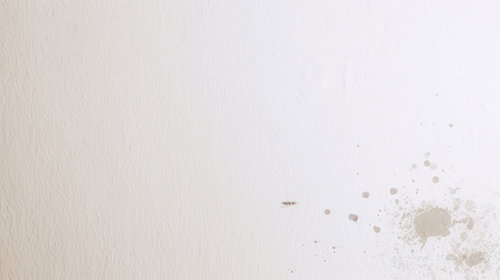 なにかを垂らしてしまった和紙