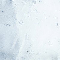 細かい傷と汚れが付いた白い壁のテクスチャーの写真