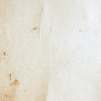 色あせた古紙に浮かぶカビと染みのテクスチャーの写真