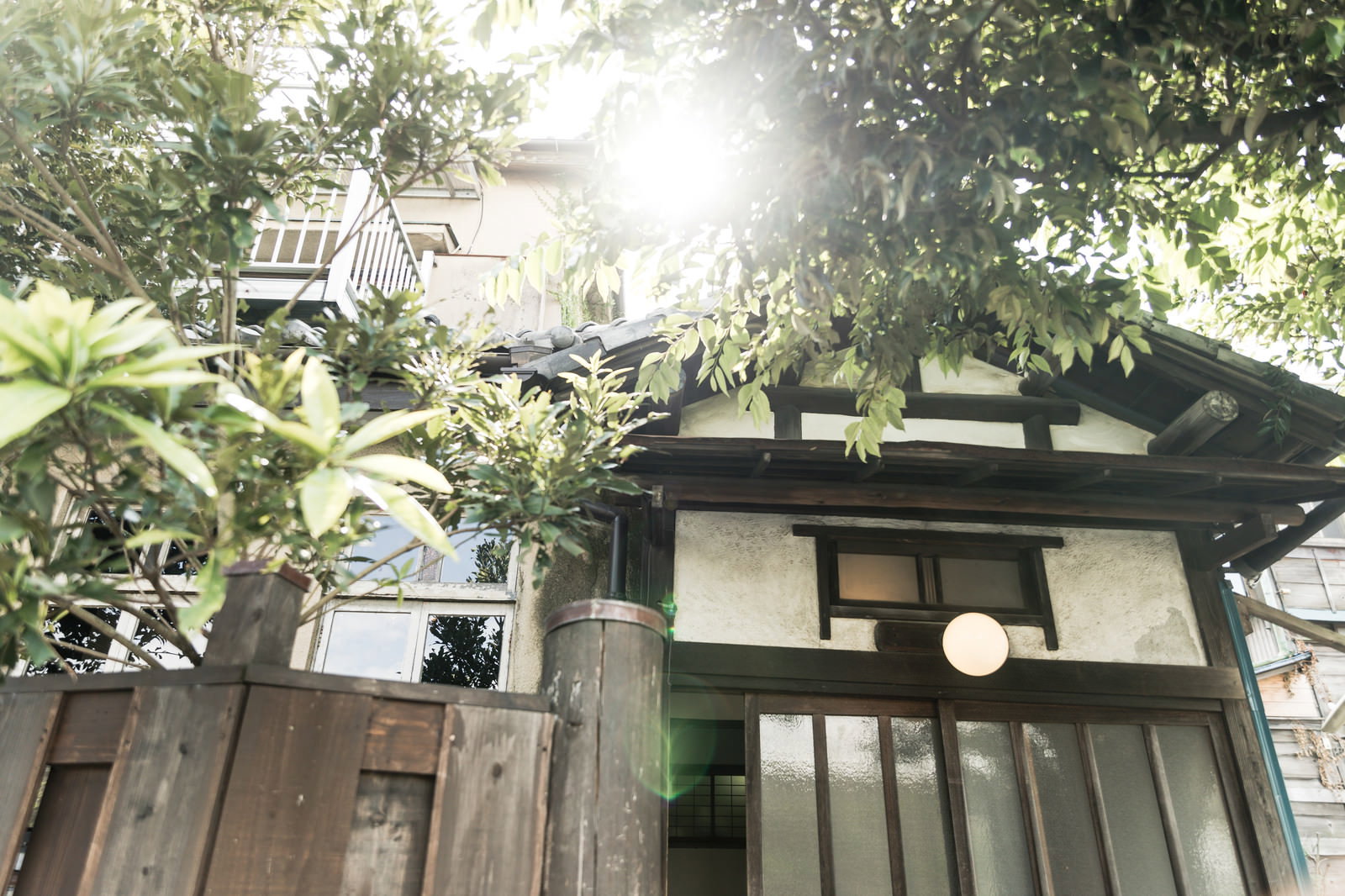 木漏れ日が差し込む古民家の玄関前、瓦屋根と木造建築に緑の植物