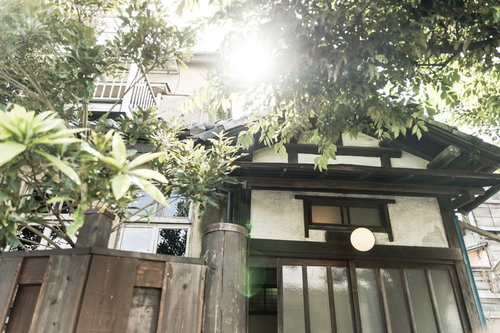 古民家の玄関前に差し込む木漏れ日と緑の植物