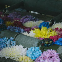 美しい花に埋め尽くされた「華手水」の写真