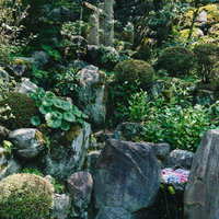 緑に囲まれ流れ落ちる一条の水の写真