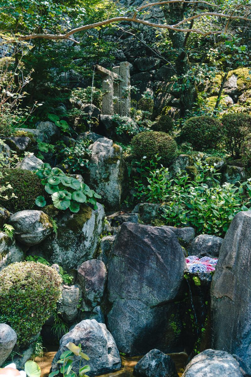 奈良県の岡寺の境内で、苔むした石塔や岩の間を流れる水と深緑の植生