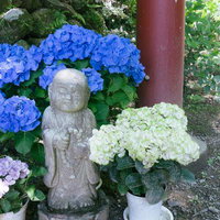 朱色の鳥居の柱の足元で紫陽花に囲まれ迎えてくれるお地蔵様の写真