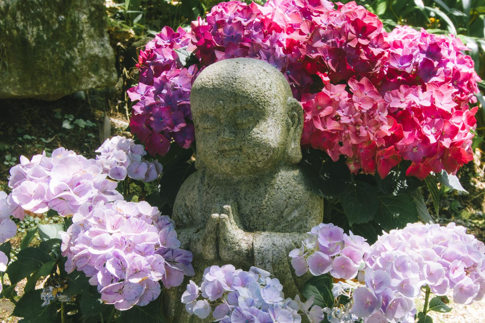 グレーの石像のお地蔵さんの背後を、ピンク・赤紫・淡紫の紫陽花で囲む