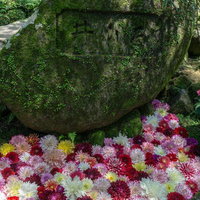 周囲にダリヤが敷き詰められた「るり井」入り口の石碑の写真