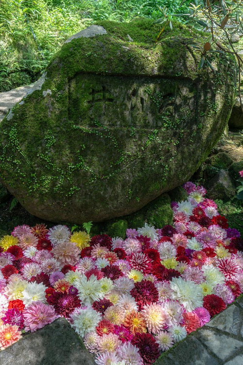 周囲にダリヤが敷き詰められた「るり井」入り口の石碑