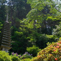 緑の木々に囲まれる十三重石塔の姿の写真