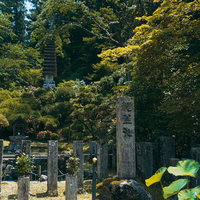岡寺の元の名の龍蓋寺の所以でもある悪い龍を石の蓋で閉じ込めた伝説が残る龍蓋池の写真