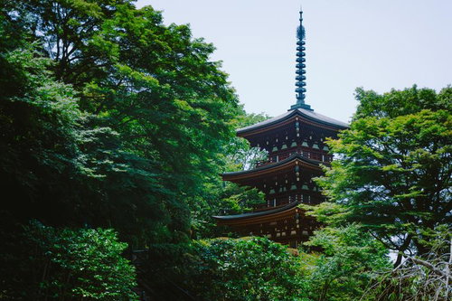 色鮮やかな新緑の木々に囲まれる三重宝塔