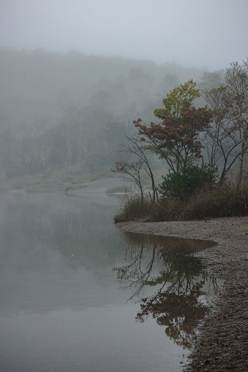 赤城山の小沼、湖面に映る木々とガス、朝霧の風景