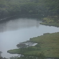 覚満淵の霧と水面のさざ波の写真