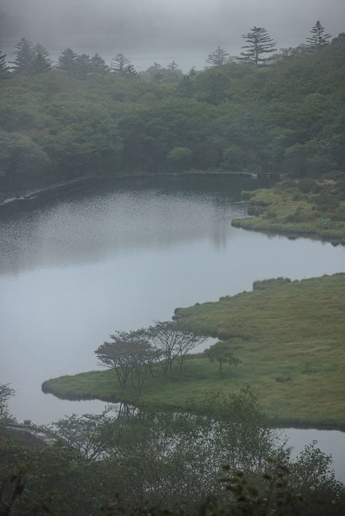 覚満淵の水面に映るさざ波と霧に包まれた湿原