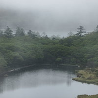 霧がかる覚満淵の湿原と静かな水面の写真