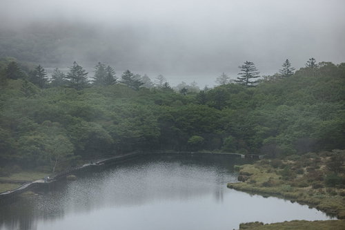 霧がかる覚満淵の湿原と静かな水面