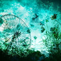 秋桜と観覧車のフォトモンタージュ作品 - 不気味な花畑の合成の写真