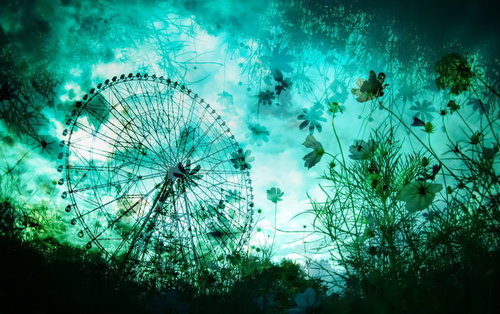 秋桜と観覧車のフォトモンタージュ作品 - 不気味な花畑の合成