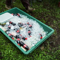 氷で冷やされた緑色のペットボトルの飲み物の写真