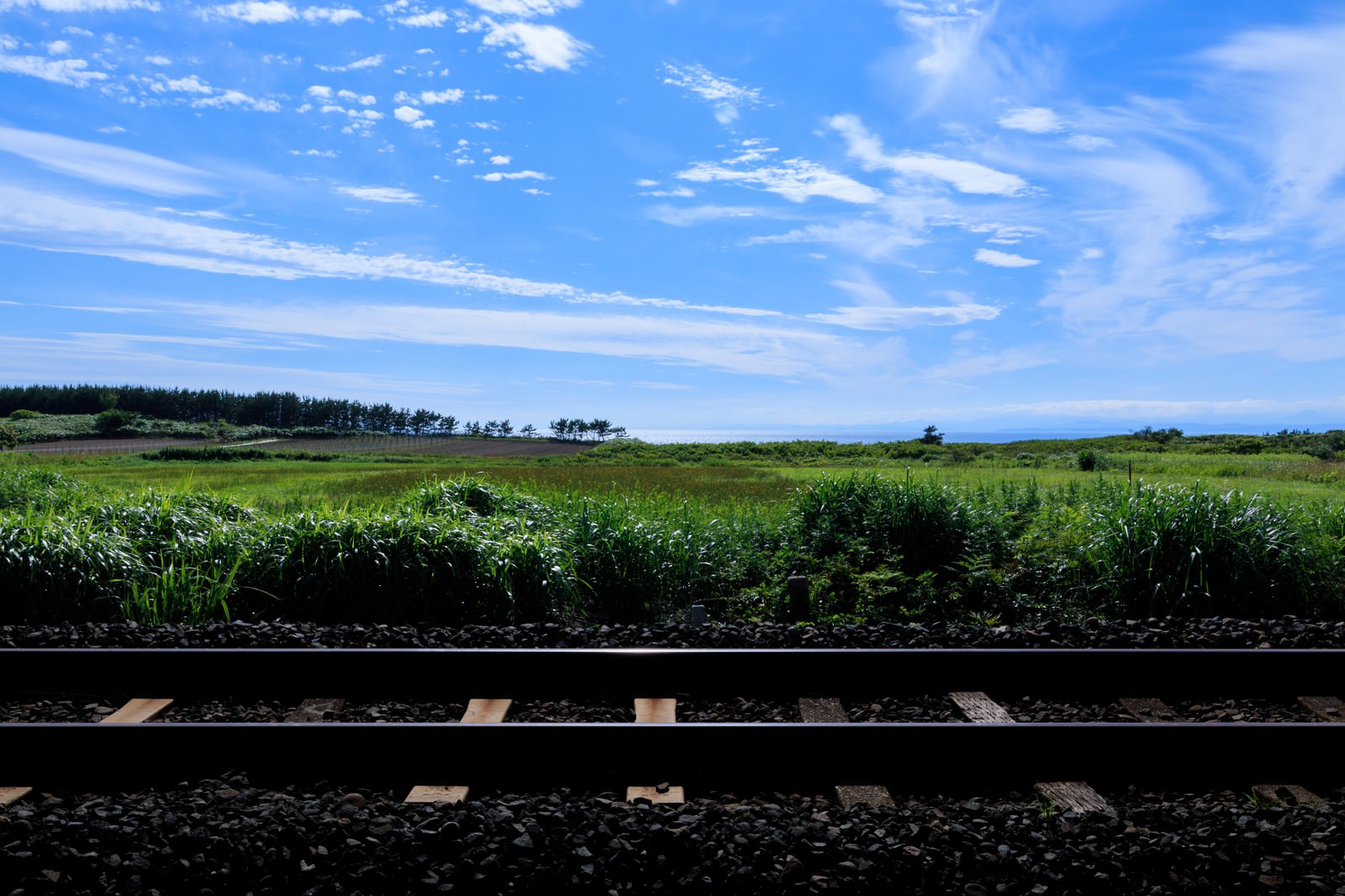 緑の草原を横断する一本の線路と青い空に白い雲が浮かぶ風景