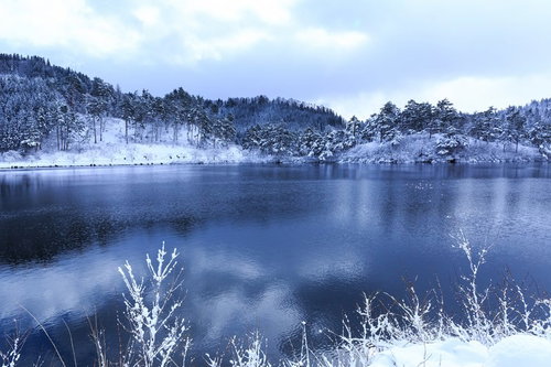 山間の沼と雪景色に映る林と針葉樹林の冬景色