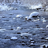 冬の奥入瀬渓流、雪が積もった岩が浮かぶ流れの写真