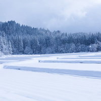 雪が降り積もる山里の凍結した湖と針葉樹林の冬景色の写真