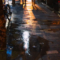 雨に濡れた夜の舗道に映る街灯の光と人々の影の写真
