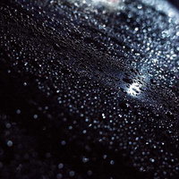 夜の車体に降り注いだ雨粒の写真
