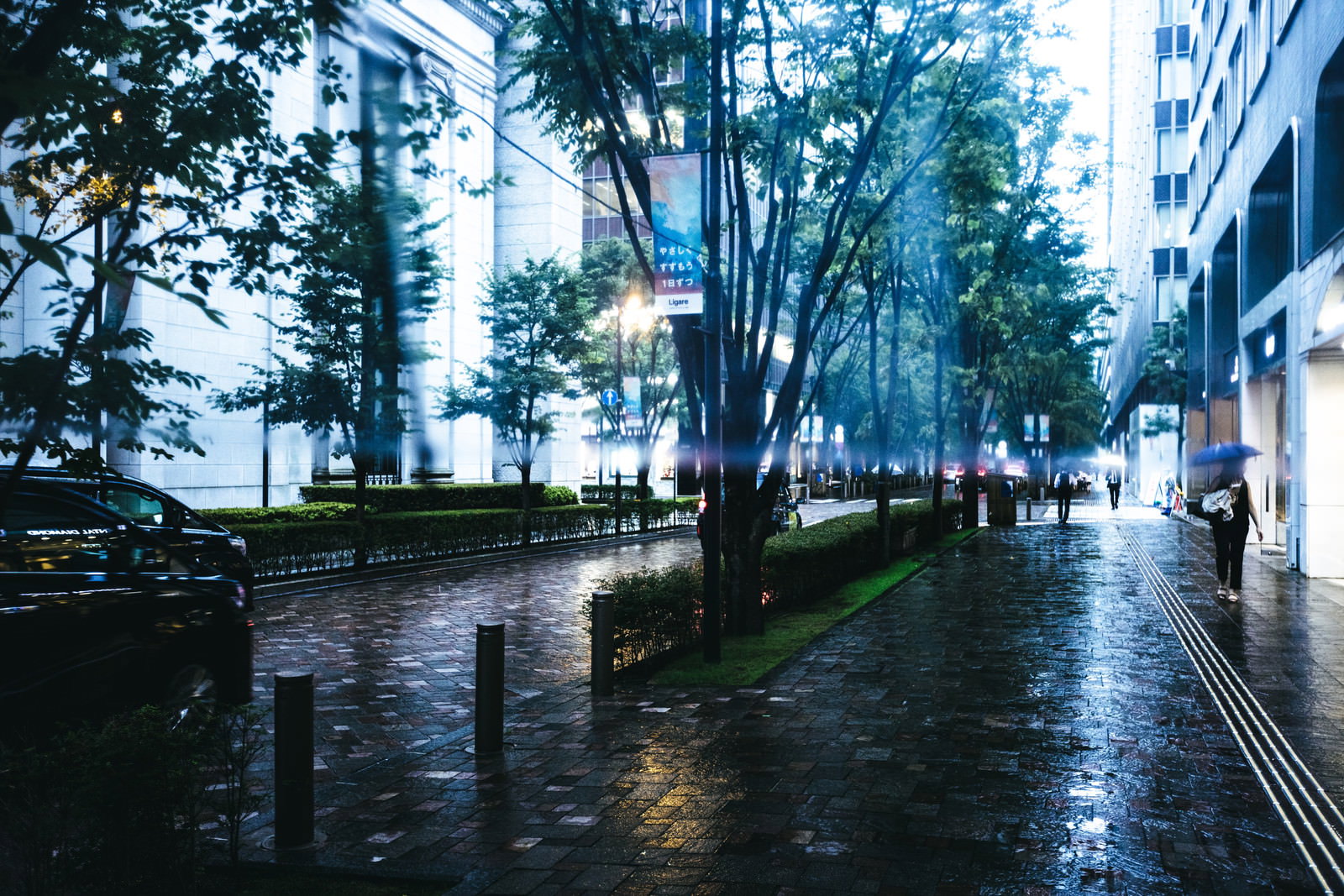 雨で濡れた歩道と街路樹、奥に建物が見える都市の街並み