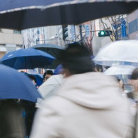 雨の日に傘をさす街中の歩行者たちの混雑風景の写真