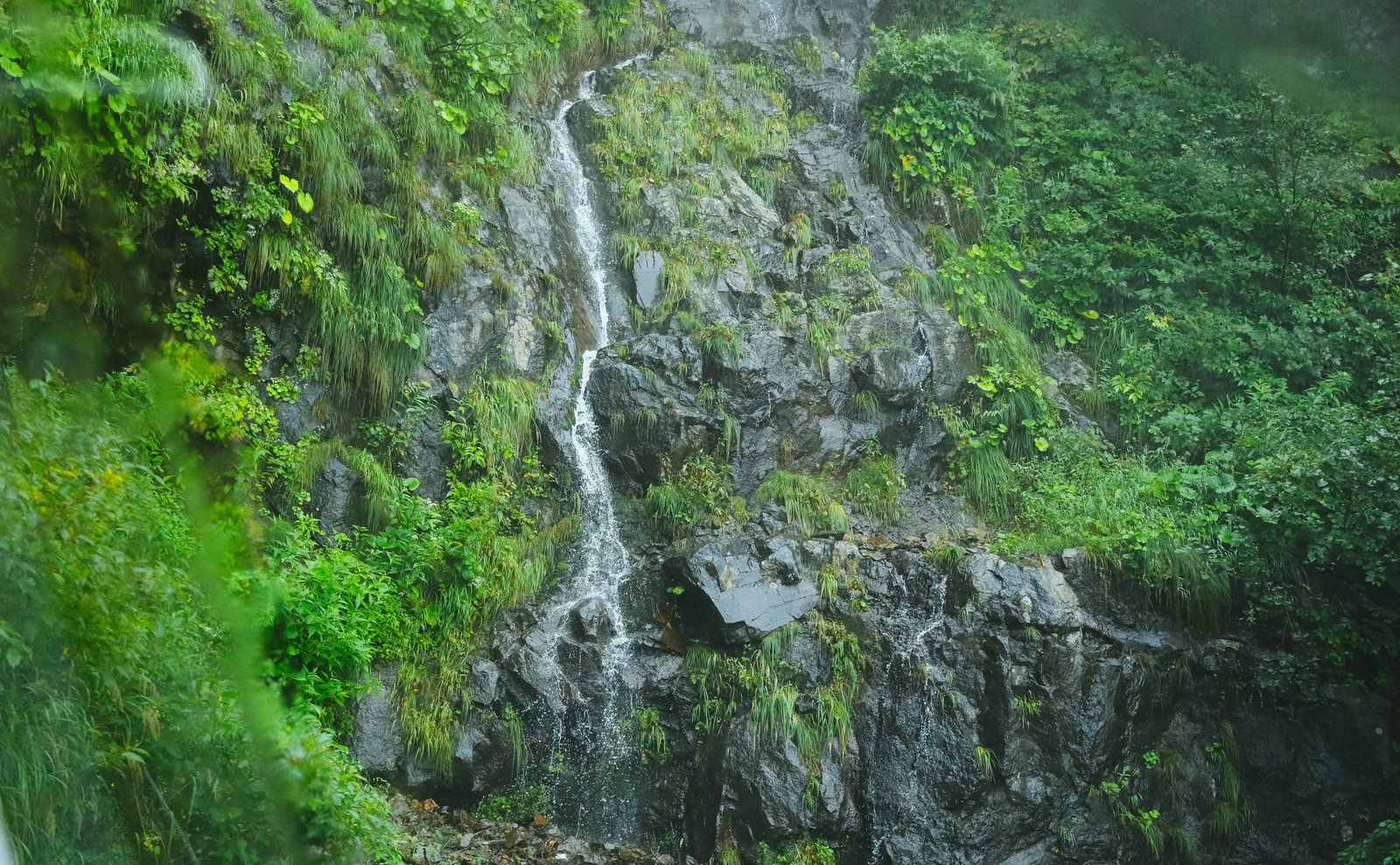 大雨の山道を車内から見た視界不良
