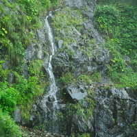 大雨の山道を車内から見た視界不良の写真