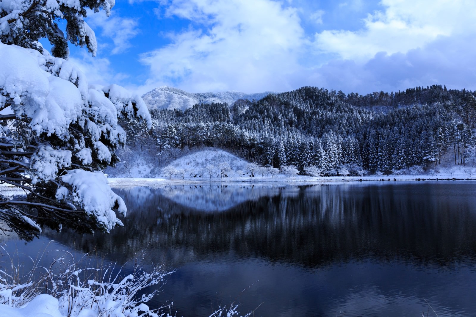 雪に覆われた山間の沼地と針葉樹林が広がる冬の風景