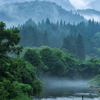 朝霧漂う渓流で釣りをする人の写真