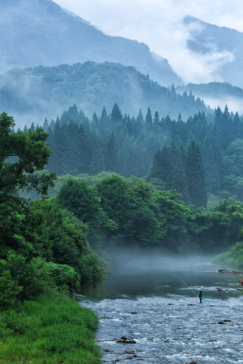 朝霧漂う渓流で釣りをする人