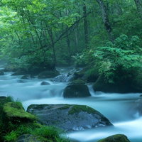 雨に煙る奥入瀬渓流の長時間露光で撮影した流れの写真