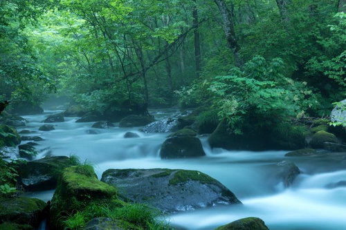 雨に煙る奥入瀬渓流の長時間露光で撮影した流れ