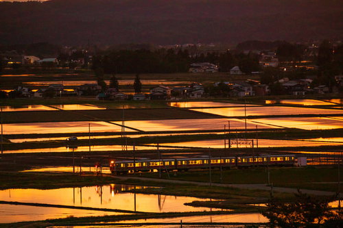 夕暮れに染まる田園地帯の風景、水田に映える夕日と黄金の稲穂