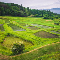 岩手県の吹田の棚田：山々に囲まれた階段状の水田風景の写真