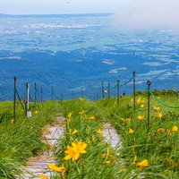 10月の弥陀ヶ原湿原から眺める庄内平野の眺望の写真