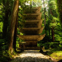 羽黒山五重塔と杉並木の参道を彩る階段石段の写真