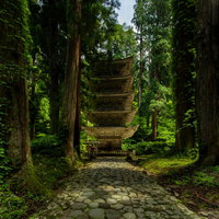 夏の羽黒山五重塔と石畳の参道の写真