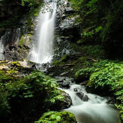 田沢湖高原の友情の滝を流れ落ちる水飛沫と新緑の森の写真