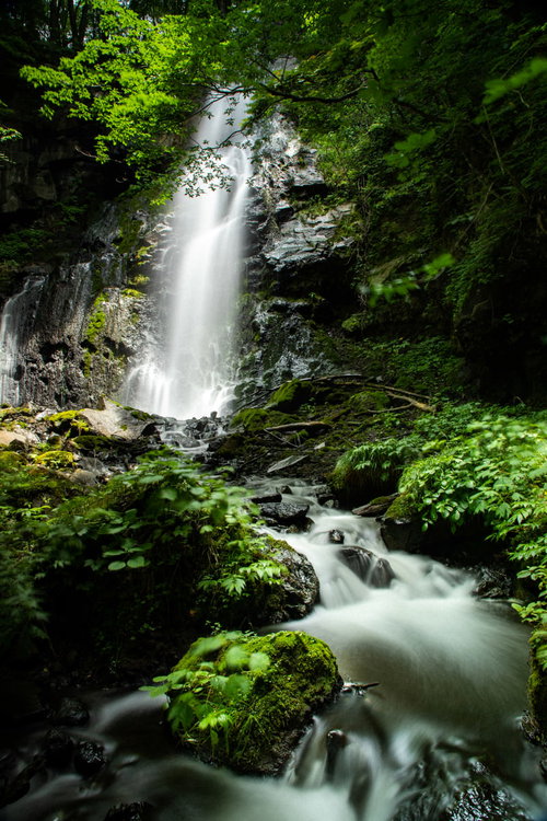 田沢湖高原の友情の滝を流れ落ちる水飛沫と新緑の森